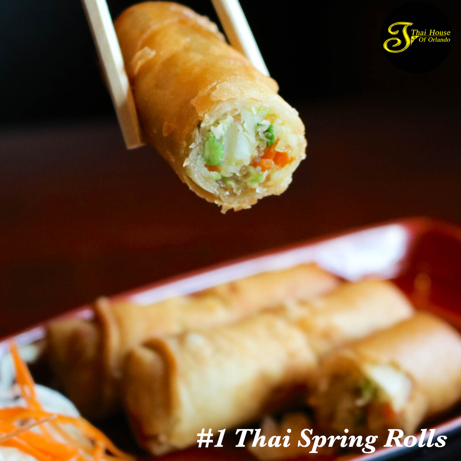 Thai Spring Roll